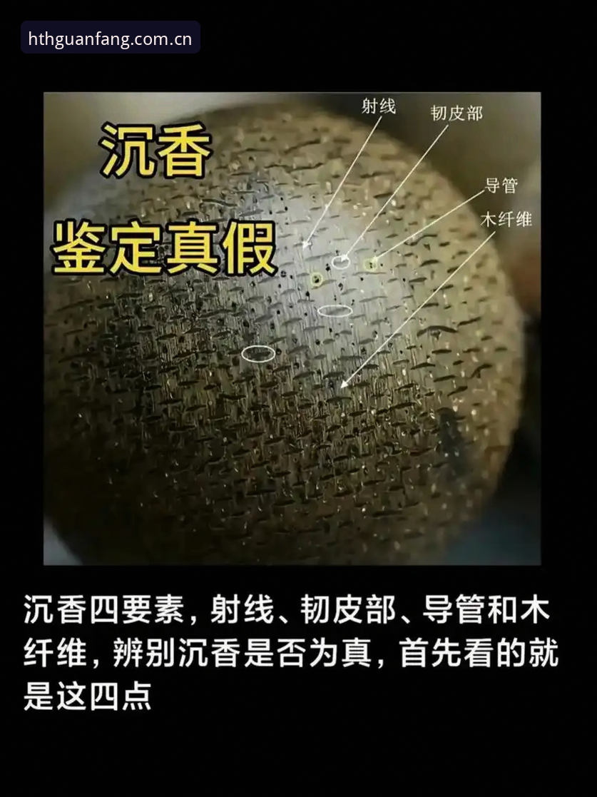 资深用户分享：华体会hth正版评测实战心得，教你一眼识别真假